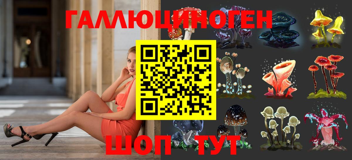 Ефремов  Псилоцибиновые грибы MAGIC MUSHROOMS  Вход с VPN 